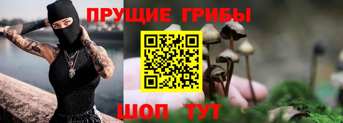 Аксай  Псилоцибиновые грибы Psilocybe  Вход с VPN  Галлюциногенные грибы MAGIC MUSHROOMS 